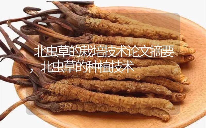 北蟲草的栽培技術(shù)論文摘要，北蟲草的種植技術(shù)