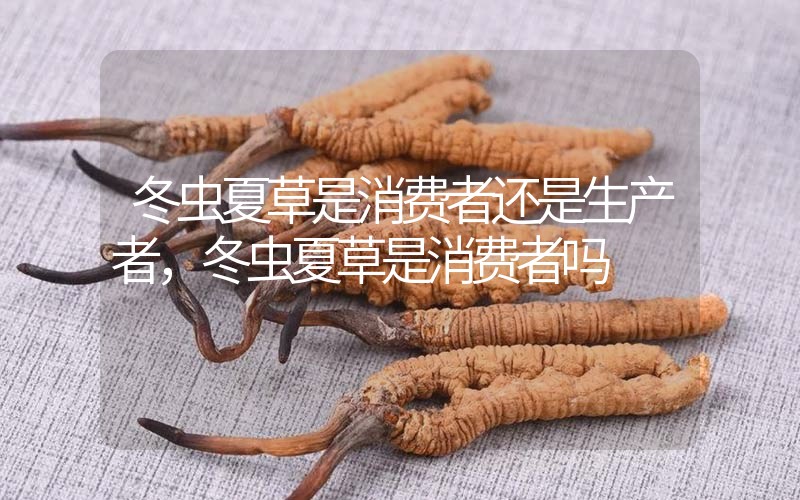 貧血吃冬蟲(chóng)夏草有效果嗎，貧血虛弱者可以用冬蟲(chóng)夏草嗎？