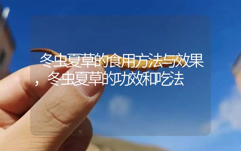 冬蟲(chóng)夏草的食用方法與效果，冬蟲(chóng)夏草的食用方法！