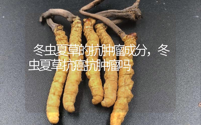 冬蟲夏草的抗腫瘤成分，冬蟲夏草抗癌抗腫瘤嗎？