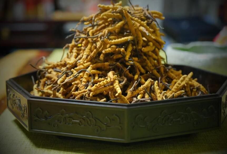 <a href=http://m.jiangnongst.com/ target=_blank class=infotextkey>冬蟲夏草</a>