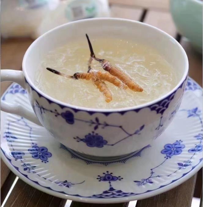 養(yǎng)生小竅門：冬蟲夏草燉什么好喝？
