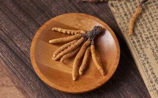 冬蟲夏草的顏色和質(zhì)地，如何通過外觀來辨別不同品種？