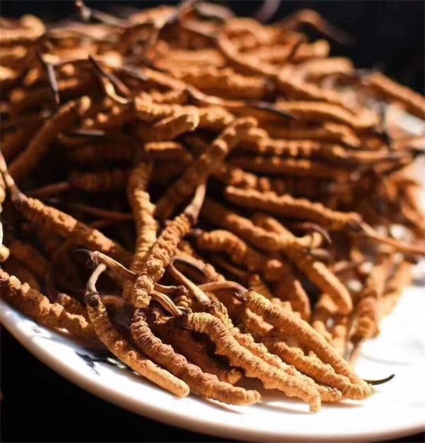 冬蟲夏草和什么一起吃效果好？冬蟲夏草的4種搭配食材