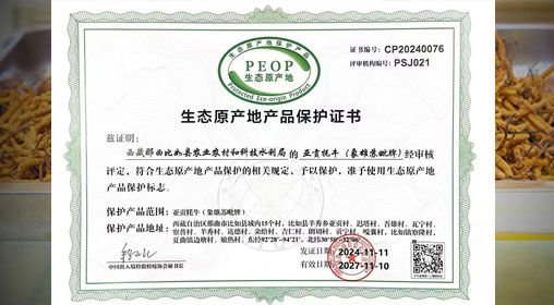 德耀娜秀 奮進(jìn)比如║熱烈祝賀！比如縣“亞貢牦?！比脒x農(nóng)業(yè)農(nóng)村部全國名特優(yōu)新農(nóng)產(chǎn)品名錄