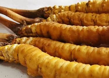 <a href=http://m.jiangnongst.com/sdph/zf/ target=_blank class=infotextkey>珍峰冬蟲夏草</a>主要的銷售模式