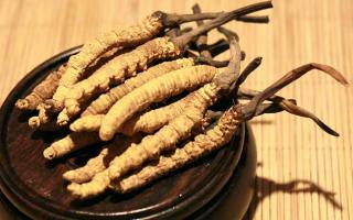 冬蟲(chóng)夏草的價(jià)格一克：為何如此昂貴？