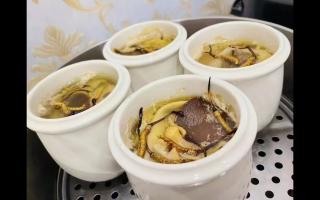 冬蟲夏草燉什么最好？5種黃金搭配讓滋補效果翻倍