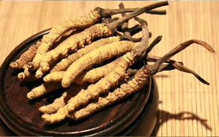 未來冬蟲夏草會(huì)漲價(jià)嗎？