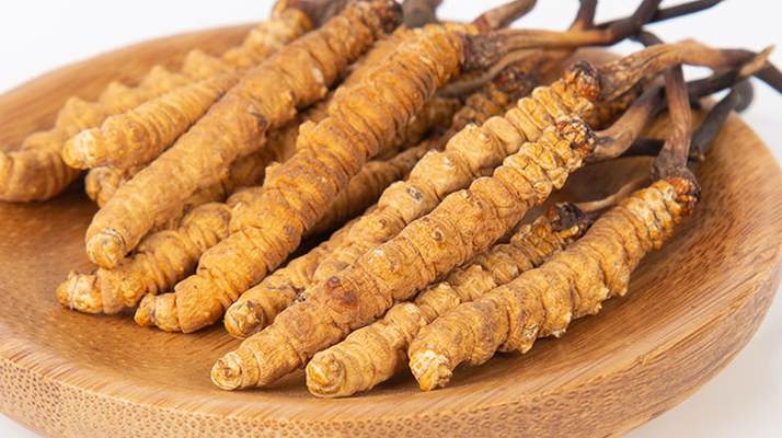 冬蟲(chóng)夏草王價(jià)格探秘