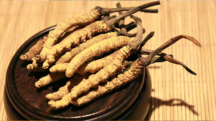 冬蟲夏草真?zhèn)伪鎰e全指南:5 招識(shí)破造假陷阱