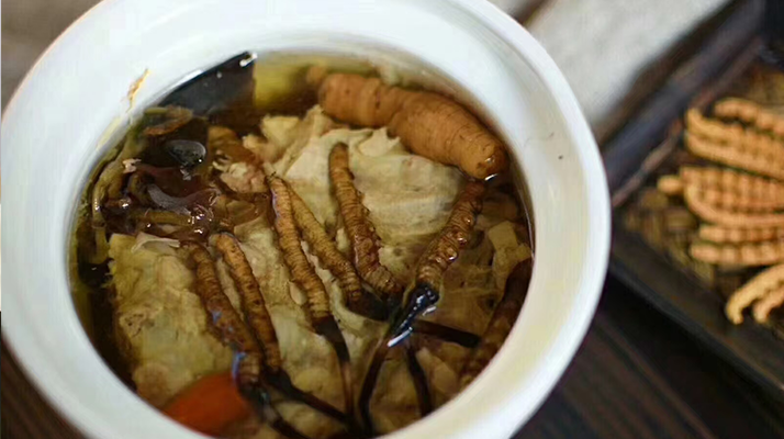 吃新鮮冬蟲(chóng)夏草最佳吃法