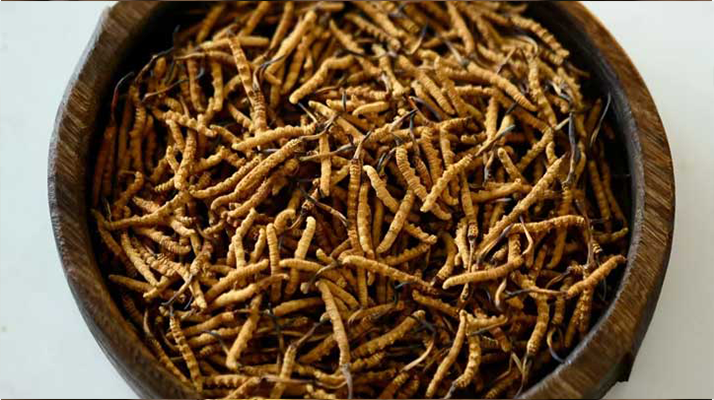 <a href=http://m.jiangnongst.com/jiage/ target=_blank class=infotextkey>冬蟲夏草價格</a>探秘:多因素交織下的市場行情