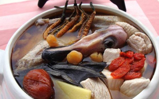 冬蟲夏草配什么煲湯好？營養(yǎng)美味的搭配指南