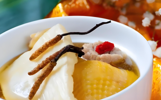 冬蟲夏草每天什么時(shí)候吃最好？一文詳解最佳食用時(shí)間