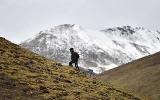 冬蟲夏草適合在什么地方生長(zhǎng)