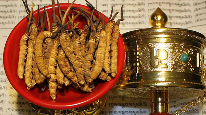 <a href=http://m.jiangnongst.com/gongxiao/ target=_blank class=infotextkey><a href=http://m.jiangnongst.com/gongxiao/ target=_blank class=infotextkey><a href=http://m.jiangnongst.com/yangsheng/ target=_blank class=infotextkey>冬蟲夏草的功效</a></a></a>解析：傳統(tǒng)珍寶的現(xiàn)代價(jià)值