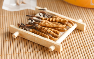 冬蟲夏草一般多少錢一斤？價格背后的價值解析
