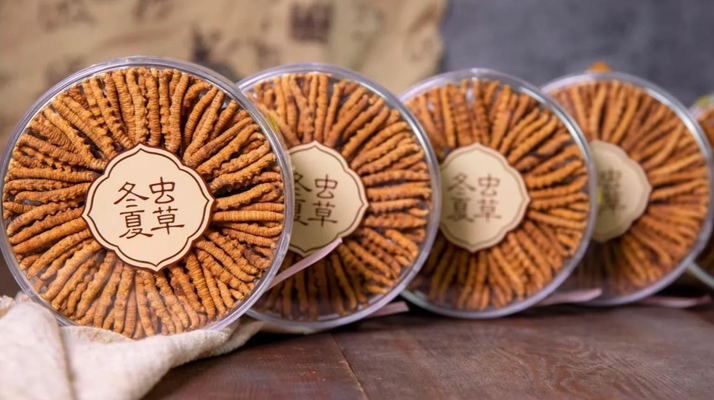 同仁堂<a href=http://m.jiangnongst.com/chanpin/ target=_blank class=infotextkey>冬蟲(chóng)夏草禮盒</a>：珍稀饋贈(zèng)，品質(zhì)之選