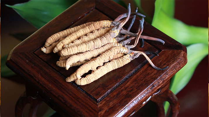 怎樣鑒別<a href=http://m.jiangnongst.com/tag/6.html target=_blank class=infotextkey>冬蟲夏草的產(chǎn)地</a>