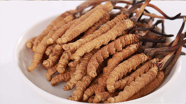 冬蟲(chóng)夏草煎水每次幾根