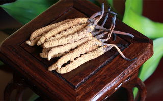 每年有多少冬蟲(chóng)夏草上市
