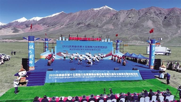 雪域高原迎盛會(huì) 蟲(chóng)草之鄉(xiāng)展新顏——那曲市第十五屆魅力蟲(chóng)草展銷(xiāo)會(huì)暨巴青縣第五屆冬蟲(chóng)夏草采集體驗(yàn)活動(dòng)盛大開(kāi)幕