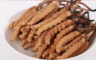 認(rèn)清假冬蟲(chóng)夏草：常見(jiàn)類(lèi)型、鑒別方法與避坑指南