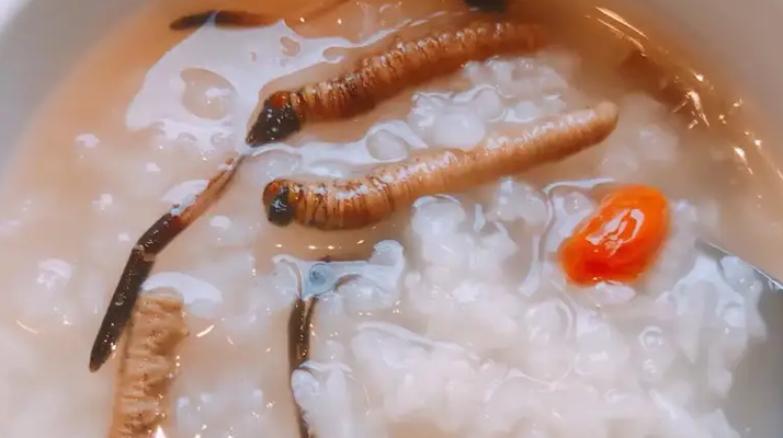 冬蟲夏草適合哪些人群？精準匹配與禁忌提醒