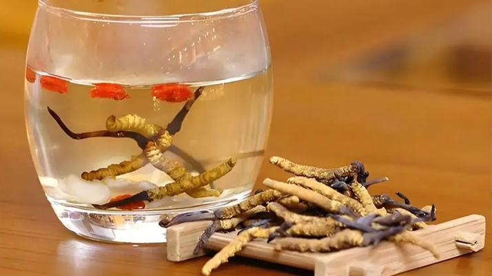 長期喝冬蟲夏草泡水好嗎？科學(xué)分析與飲用指南