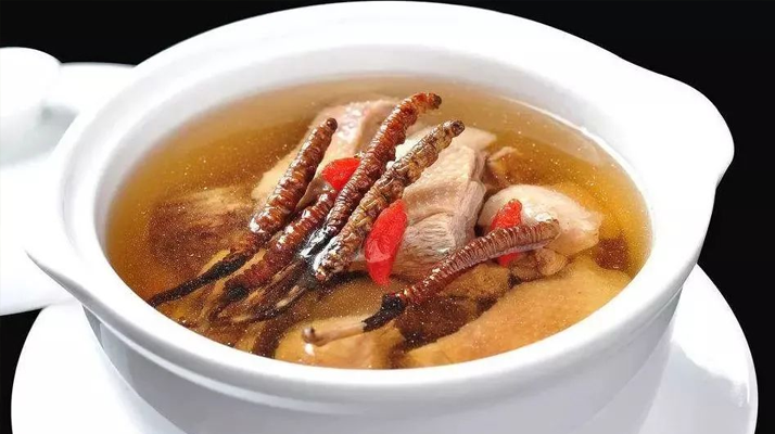 冬蟲夏草怎樣燉是最好的？掌握這幾步，營養(yǎng)不流失還美味