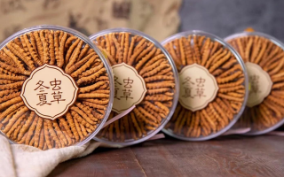 把握黃金時(shí)段！冬蟲夏草在這些時(shí)候吃效果更佳