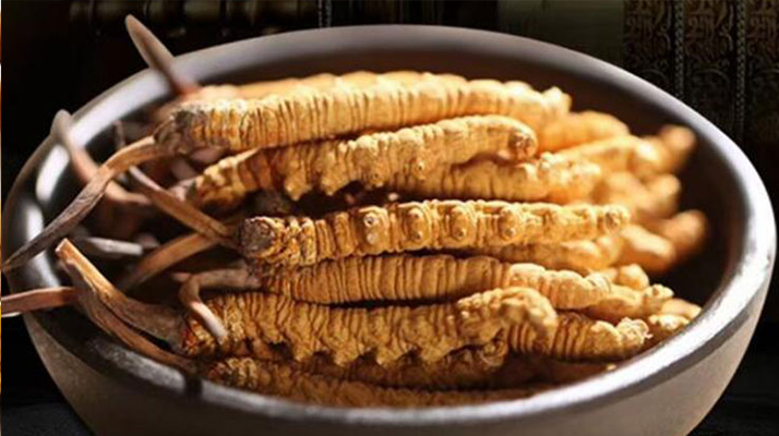 冬蟲夏草效果好不好用？科學(xué)與實(shí)踐視角下的全面解析