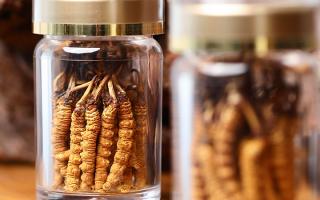 送冬蟲夏草給男孩子好嗎？分場景分析 + 送禮建議