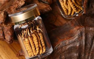 鮮冬蟲夏草泡水后怎么保存？3 種場(chǎng)景保存方法 + 避坑指南