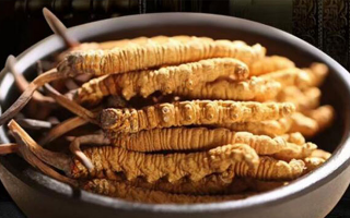 冬蟲夏草掰開后什么樣？從斷面細節(jié)識破品質(zhì)與真?zhèn)?> </div>
            <div   id=