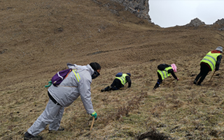 非法采挖蟲草的常見誤區(qū)、合規(guī)清單、采集證辦理流程與價值鑒定要點(diǎn)