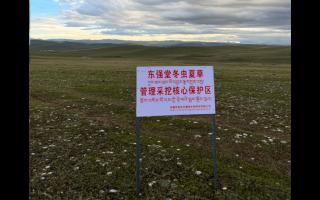 高原之上，蟲草共生；守護(hù)生態(tài)，東強(qiáng)堂與你同行