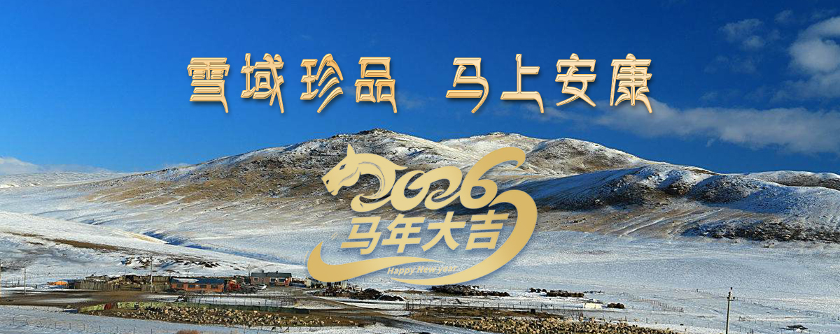 雪域高原藏珍品，2026愿您馬上安康——來自西藏那曲蟲草網(wǎng)的新春祝福